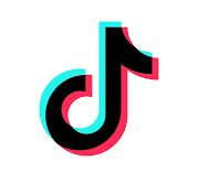 2. TikTok